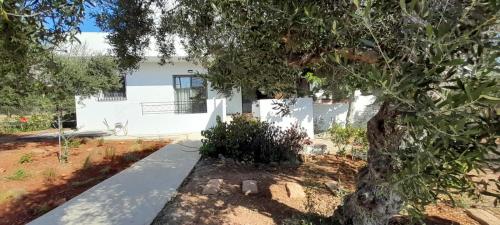Κήπος έξω από το Casa di Laino