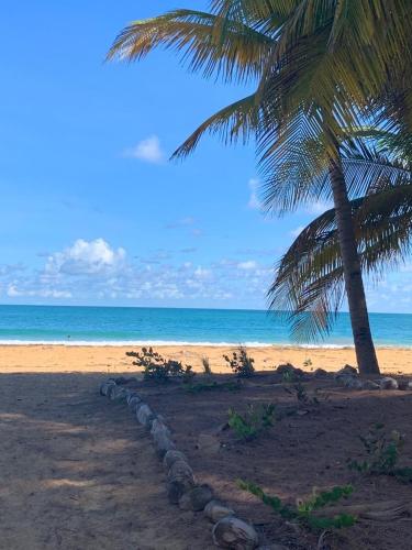 Un paisaje natural cerca del departamento