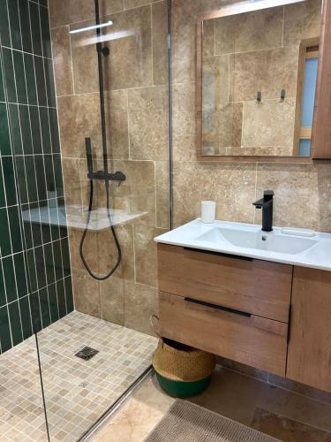une salle de bain avec un lavabo et une douche dans l'établissement Nouveau gîte en Provence avec piscine sur Arles, à Arles