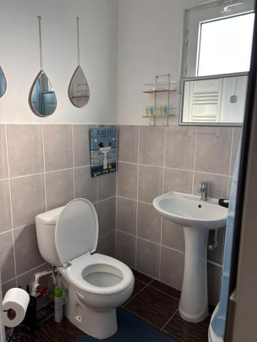 a bathroom with a toilet and a sink at Bazaleti Field House in Karsimaantkari