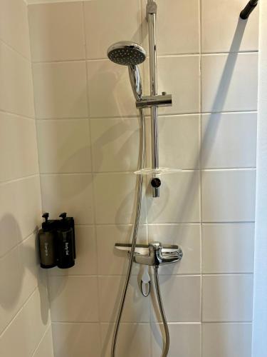 une douche avec pommeau de douche dans une salle de bain dans l'établissement La suite du centre ville, proche cœur historique, à Bergerac