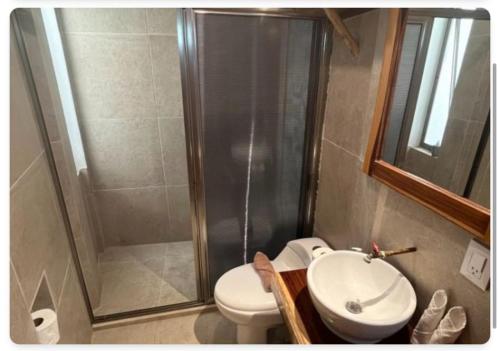 a bathroom with a shower and a toilet and a sink at Casa Lamat in Bacalar