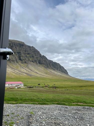 a group of horses in a field in front of a hill at Gerdi Guesthouse in Jökulsárlón