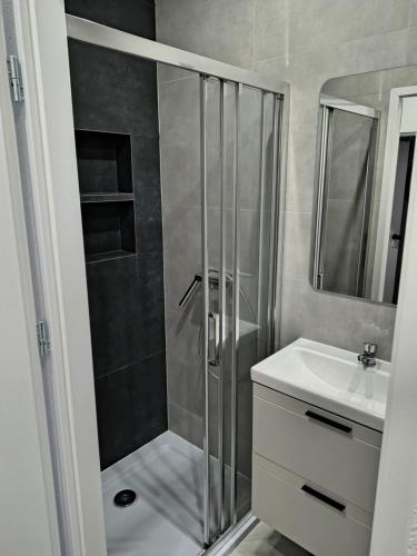 a bathroom with a shower and a sink at Nocleg pod Orzechem Apartament z 2 pokojami in Wapnica