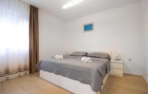 Awesome Apartment In Bibinje With Wifi