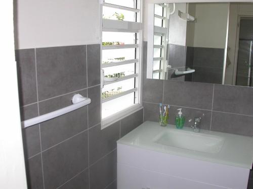 La salle de bains est pourvue d'un lavabo et d'un miroir. dans l'établissement Maison de Vacances à St Anne Martinique, à Sainte-Anne