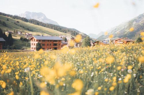 a field of yellow flowers in front of a building at Die Lecherin in Lech am Arlberg