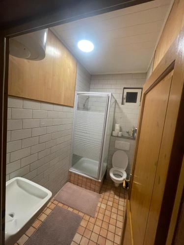 Un baño con ducha, inodoro y lavabo. en Eschweiler accommodation, en Eschweiler