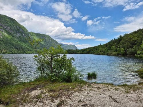 a view of a lake with mountains in the background at Juliana Apartment Bohinj Lake in Bohinj