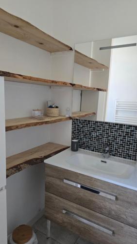 une salle de bain avec un lavabo et une baignoire dans l'établissement Villa 8 personnes en Provence - 3 nuits min, à Grans