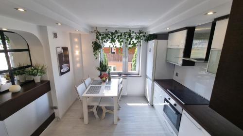 Η κουζίνα ή μικρή κουζίνα στο Biały Apartament