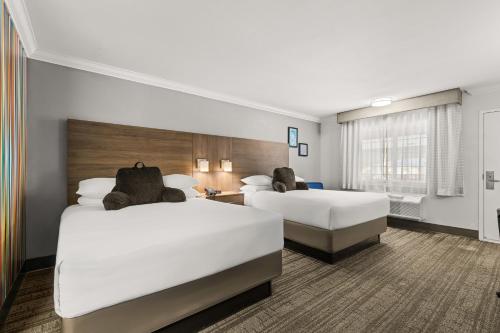 a hotel room with two beds and a window at Signature Temecula in Temecula