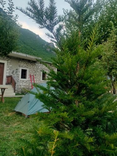 Fotografie z fotogalerie ubytování Stomici Guesthouse v destinaci Ndërlysaj