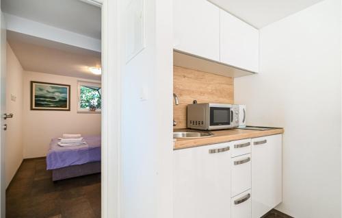 Awesome Apartment In Okrug Gornji With Wifi
