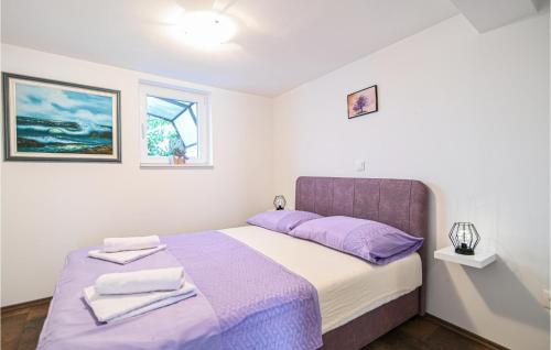 Awesome Apartment In Okrug Gornji With Wifi
