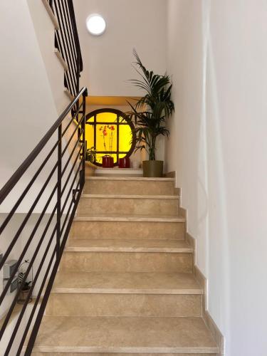 a stairway with a potted plant and a window at Residenza Colonna in Lanuvio