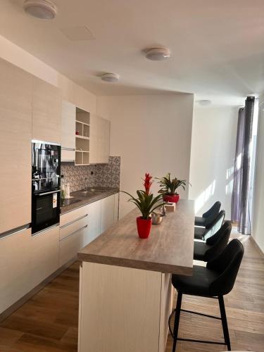 a kitchen with a island with a counter and chairs at Residenza Colonna in Lanuvio