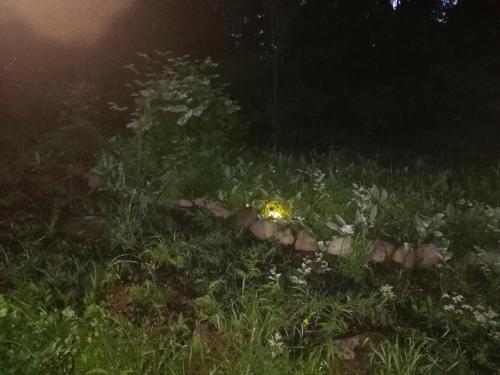 a field of grass at night with a yellow flower in the grass at Apartment by the park in Imatra