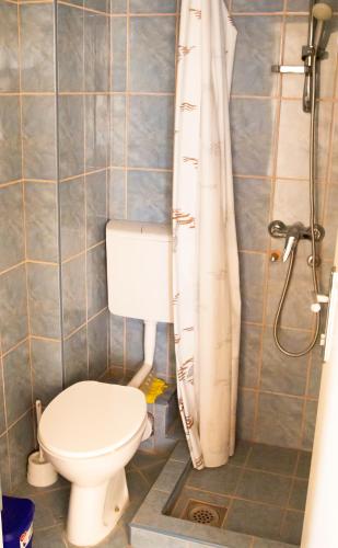 a bathroom with a toilet and a shower at Vila Kraljica Snežna in Sutomore