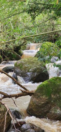 a stream of water with rocks and trees at Green Flowers Farm in Córrego do Bom Jesus