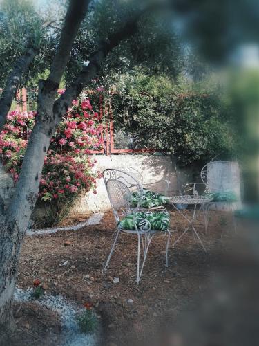 Κήπος έξω από το Gogo house in Faro Avlida