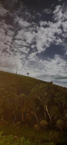 two trees on a hill with a cloudy sky at Green Flowers Farm in Córrego do Bom Jesus