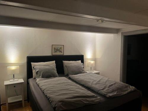 a bedroom with a large bed with two night stands at Österlens Pärla in Borrby