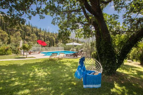 a swing hanging from a tree in a yard at Villa Petra in Zastolje