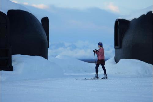 a person is standing on skis in the snow at EcoDomes con vistas a Denali Talkeetna, Alaska, Estados Unidos in Talkeetna