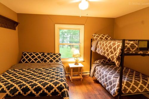 a bedroom with two bunk beds and a window at Deer Crest Cabin 5Bedroom near JFBB ski area/Lake in Towamensing Trails