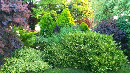 a garden with many different types of bushes and trees at Villa Flower Deluxe II in Dunajská Streda