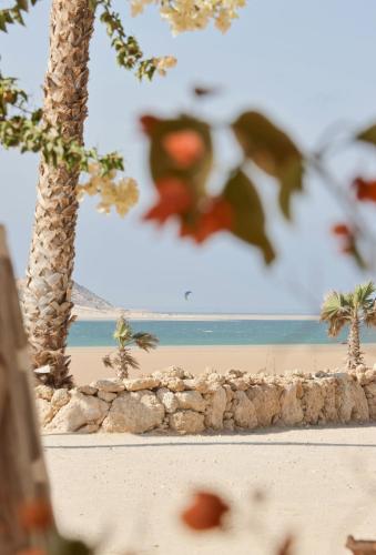 a view of a beach with palm trees and the ocean at Desert Sands Dakhla Lagoon View & Kitesurf Spot in Dakhla