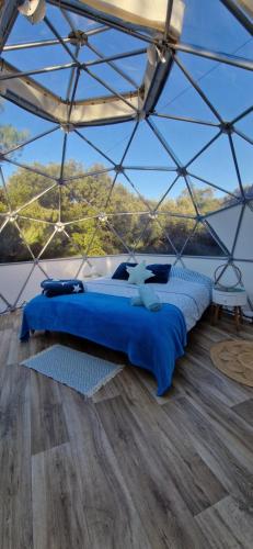 a bedroom with a bed in a glass tent at Hébergement insolite en bulle et spa in Aniane
