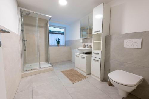 a bathroom with a shower and a toilet and a sink at Ferienwohnungen Traunblick & Salzweg in Bad Ischl