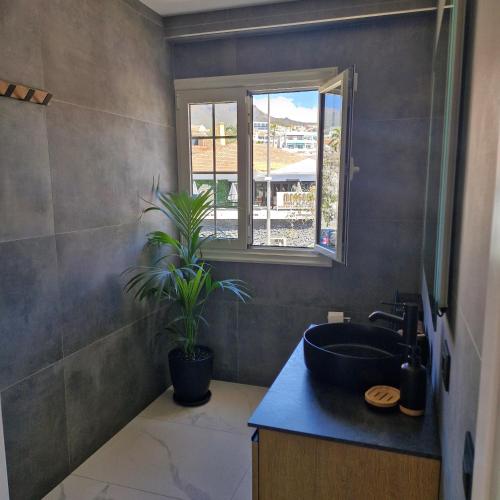 a bathroom with a sink and a potted plant at Azure Bliss in Costa de Adeje