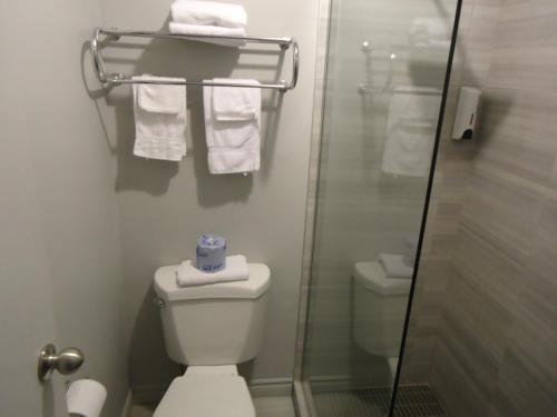 a bathroom with a toilet with towels on the wall at Motel Le Rond Point in Metabetchouan