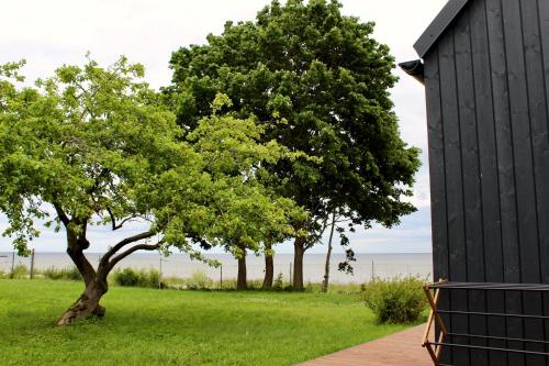 a group of trees in the grass next to a building at Mirage - Dreamy Seaside Design Cabin in Engure