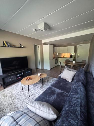Χώρος καθιστικού στο Oppdal Sentrum Apartment - vasking, sengetoy og haandklær er inkludert
