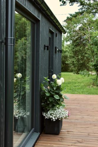 a black building with a potted plant on a porch at Mirage - Dreamy Seaside Design Cabin in Engure