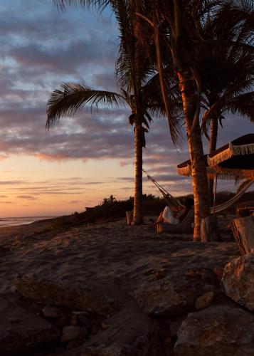 a person sitting in a hammock on a beach with palm trees at Samas Lasal - Hotel La Saladita in Temalhuacán