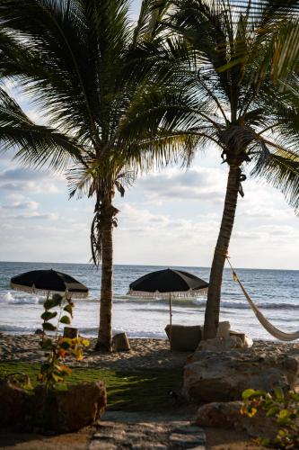 two palm trees and umbrellas on a beach at Samas Lasal - Hotel La Saladita in Temalhuacán