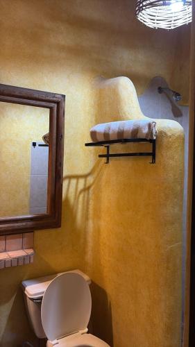 a bathroom with a toilet and a mirror at Botanical Studios Sayulita in Sayulita