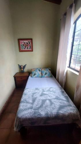 a bed in a room with a window at Botanical Studios Sayulita in Sayulita