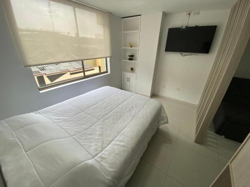 een slaapkamer met een bed, een raam en een televisie bij comodidades en el centro de la ciudad in Manizales