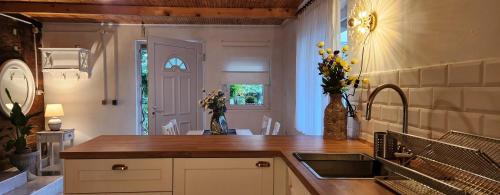 a kitchen with a sink and a counter top at Old Mill in Slavsko Polje