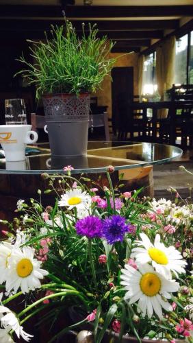 a bunch of flowers on a table with a potted plant at Pensiunea Bia Papadia in Bicaz