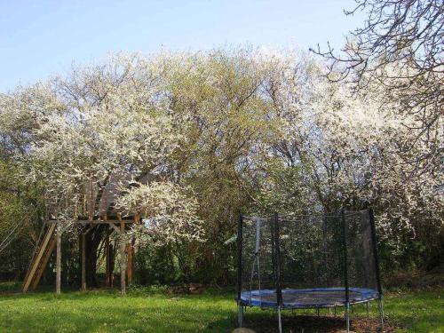 a batting cage in the grass next to a tree at Apartment Rambin 1 in Rambin