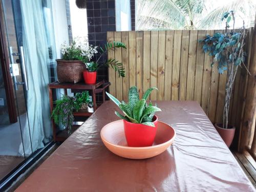 a plant in a red bowl on a table at Chalé Pé na Areia e Piscina Privativa em Barra do Jacuípe in Camaçari