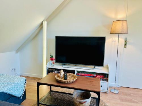 Televisyen dan/atau pusat hiburan di Gîte Deit Ba n Ty - Calme et Nature
