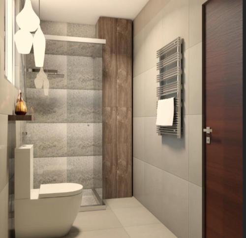 a bathroom with a toilet and a shower at Sibauty Suites in La Paz
